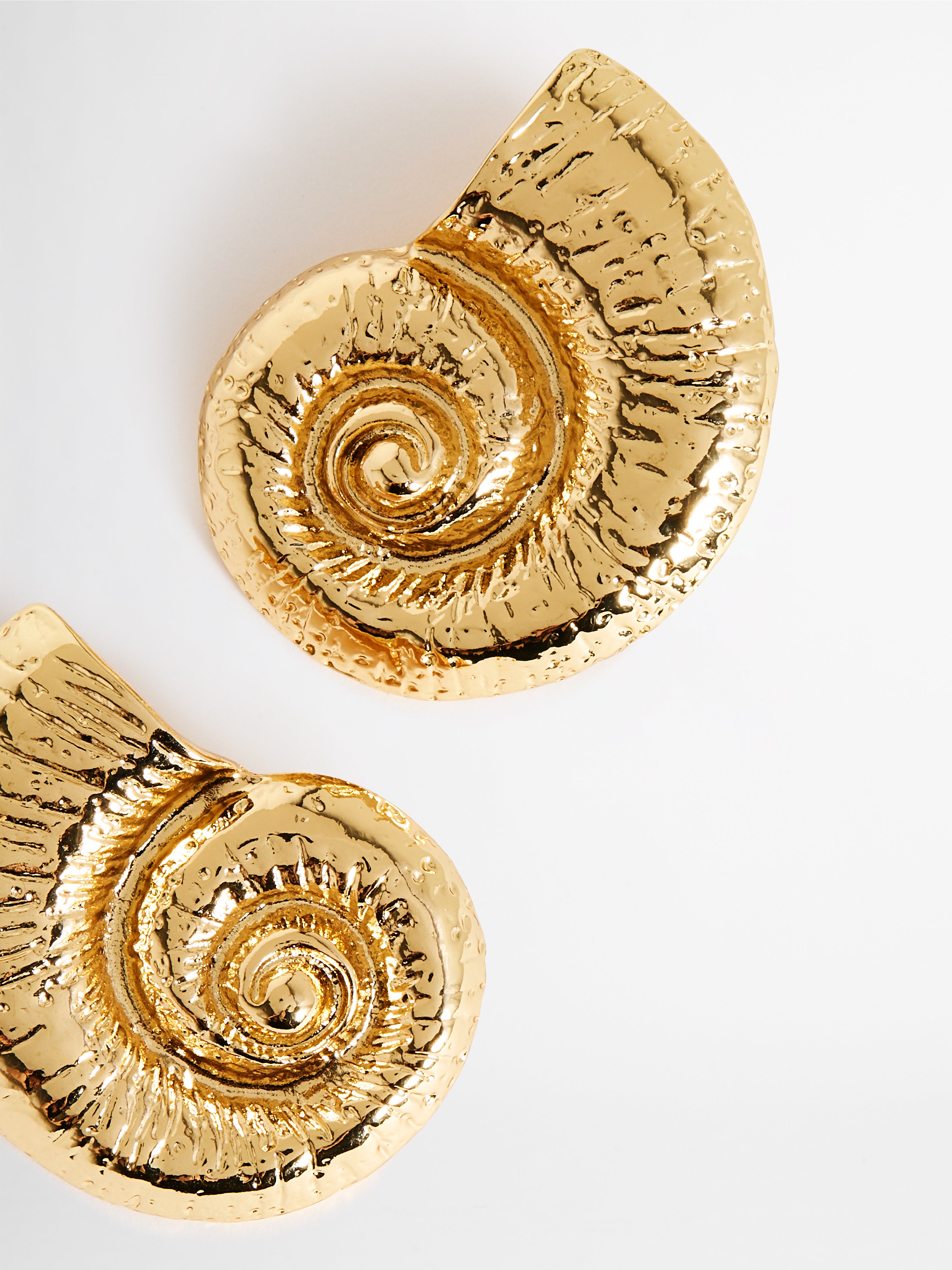 Nautilus deals shell earrings