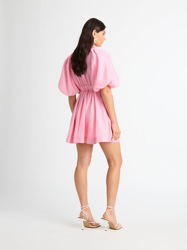 SHEIKE Rose Garden Mini Dress Pink 1006904 Back Image